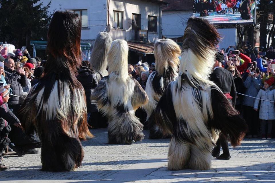 Hotel Alpin - 91 Bansko Luaran gambar