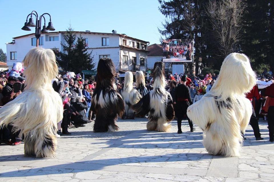 Hotel Alpin - 91 Bansko Luaran gambar