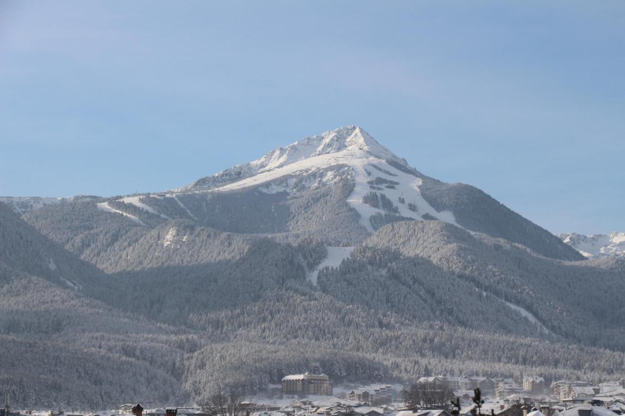 Hotel Alpin - 91 Bansko Luaran gambar