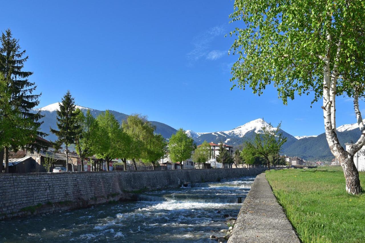 Hotel Alpin - 91 Bansko Luaran gambar